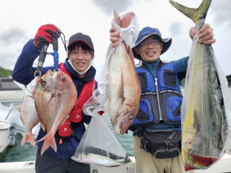 ブルーピア 釣果