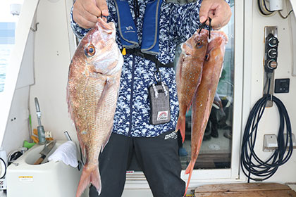 松本釣船２ 釣果