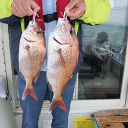 松本釣船２ 釣果