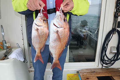 松本釣船２ 釣果