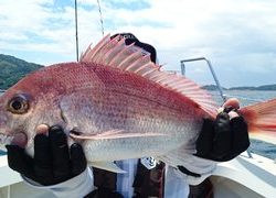 愛裕南丸 釣果