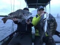 オーシャンマスター 釣果