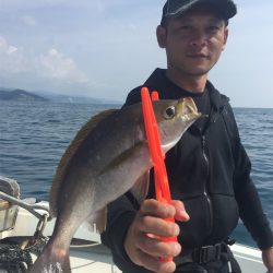 マタウマリンサービス 釣果