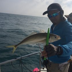 マタウマリンサービス 釣果