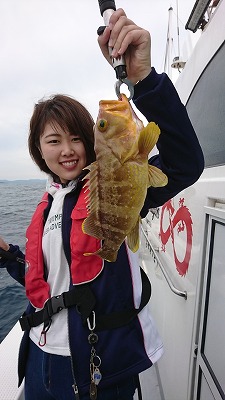 海龍丸（福岡） 釣果