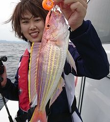 海龍丸（福岡） 釣果