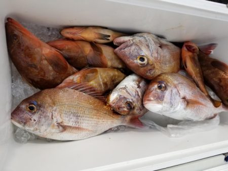 オーフリー 釣果