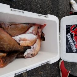 オーフリー 釣果