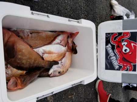 オーフリー 釣果