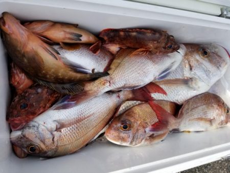 オーフリー 釣果