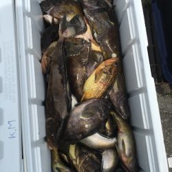 第八平成丸 釣果