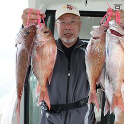 松本釣船２ 釣果