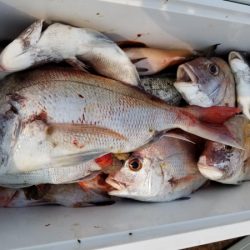 オーフリー 釣果