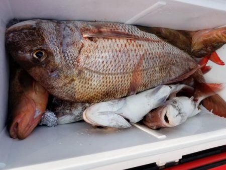 オーフリー 釣果