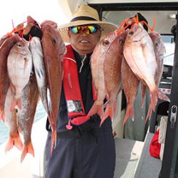 松本釣船２ 釣果