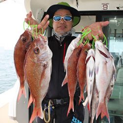 松本釣船２ 釣果