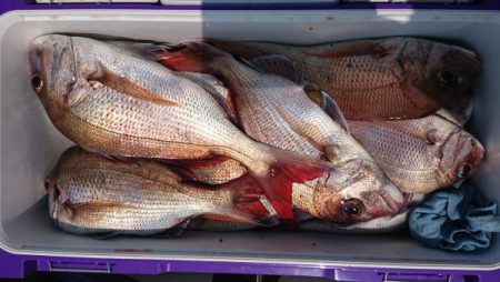 オーフリー 釣果