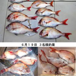 来温丸(らいおんまる) 釣果