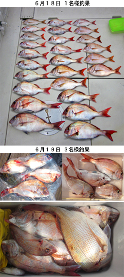 来温丸（らいおんまる） 釣果