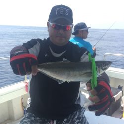 マタウマリンサービス 釣果