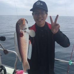 マタウマリンサービス 釣果