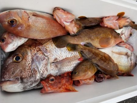 オーフリー 釣果