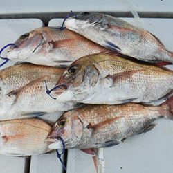 松本釣船２ 釣果