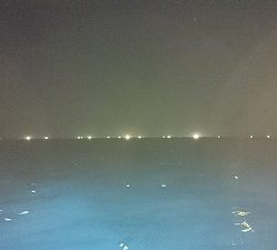 海龍丸（福岡） 釣果