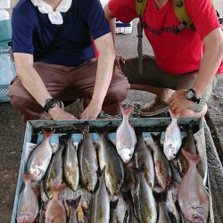 明神釣船 釣果
