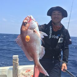 マタウマリンサービス 釣果