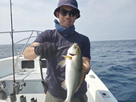 ブルーピア 釣果