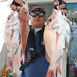 松本釣船２ 釣果