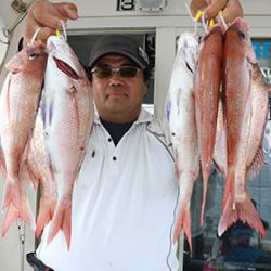 松本釣船２ 釣果