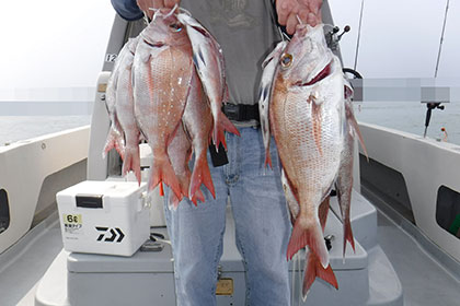 松本釣船２ 釣果