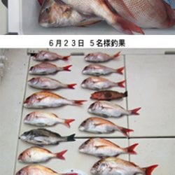 来温丸(らいおんまる) 釣果