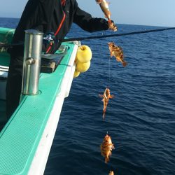 モンロー号 釣果