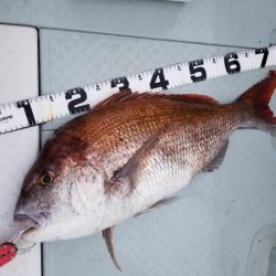 オーフリー 釣果