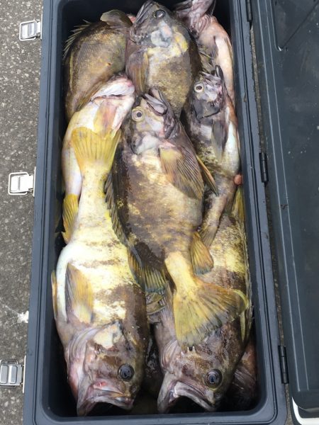 第八平成丸 釣果