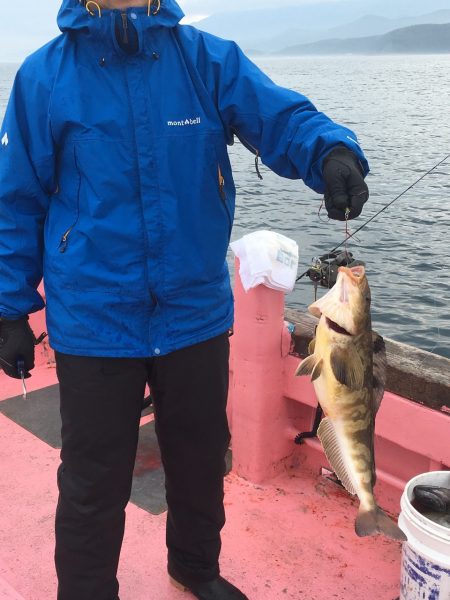 第八平成丸 釣果