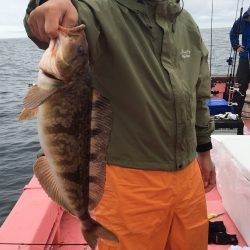 第八平成丸 釣果