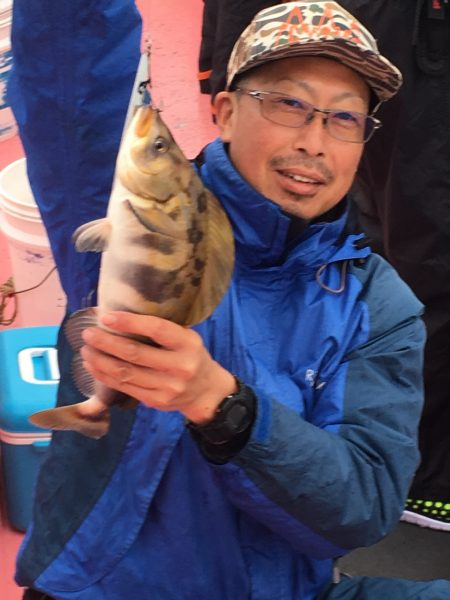 第八平成丸 釣果