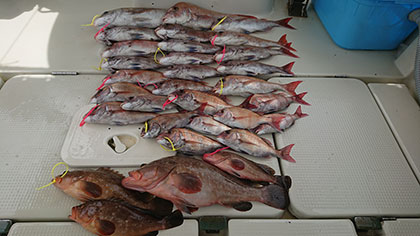 松本釣船2 釣果