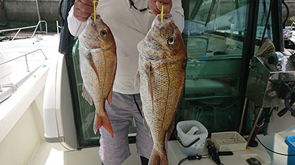 松本釣船2 釣果