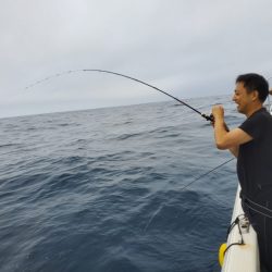 ブルーピア 釣果