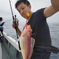 ブルーピア 釣果