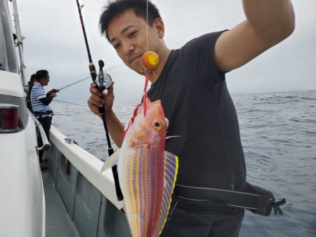 ブルーピア 釣果