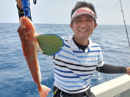 ブルーピア 釣果