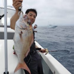 ブルーピア 釣果