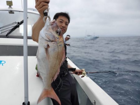 ブルーピア 釣果