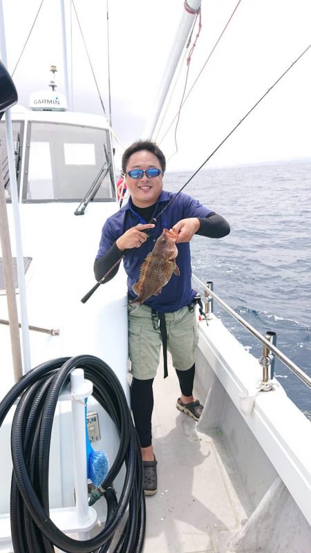 ブルーピア 釣果